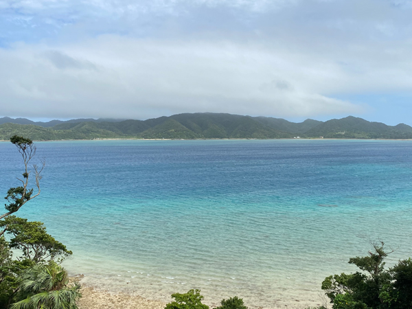 日本の夏　奄美の海の景色